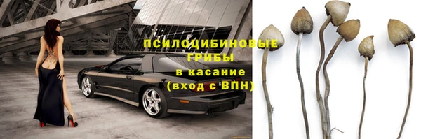 скорость mdpv Белокуриха