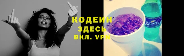 стаф Каменногорск